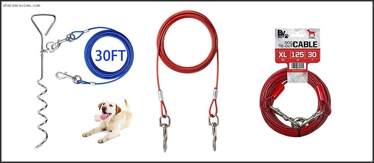 Top 10 Best Dog Tie Out For Large Dogs Reviews & Buying Guide In 2022
