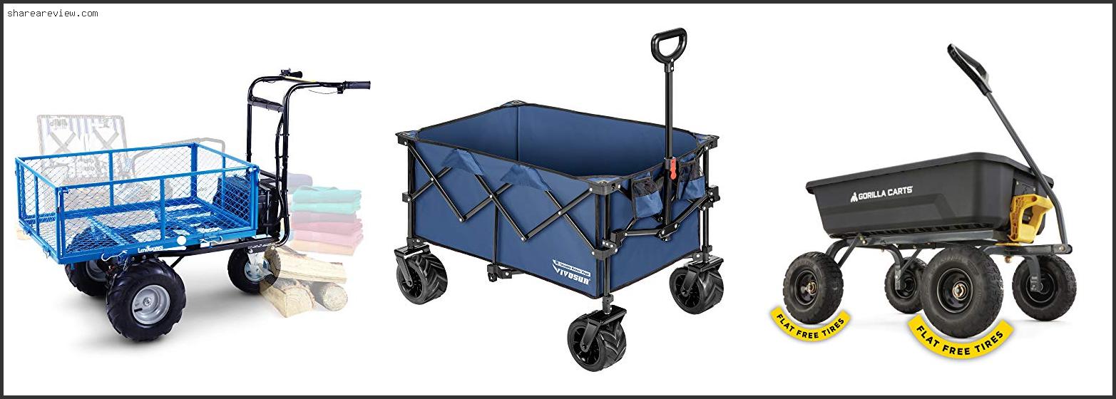 Top 10 Best Heavy Duty Garden Cart Reviews & Buying Guide In 2022