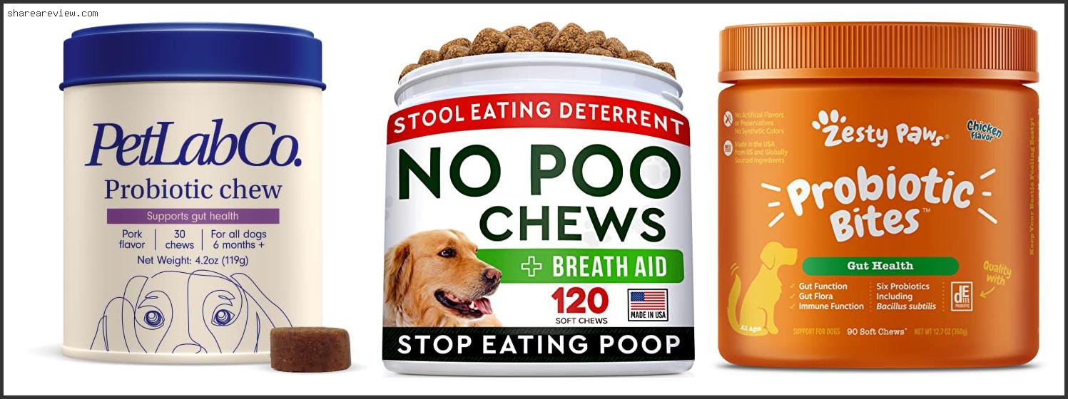 Top 10 Best Coprophagia Deterrent For Dogs Reviews & Buying Guide In 2022