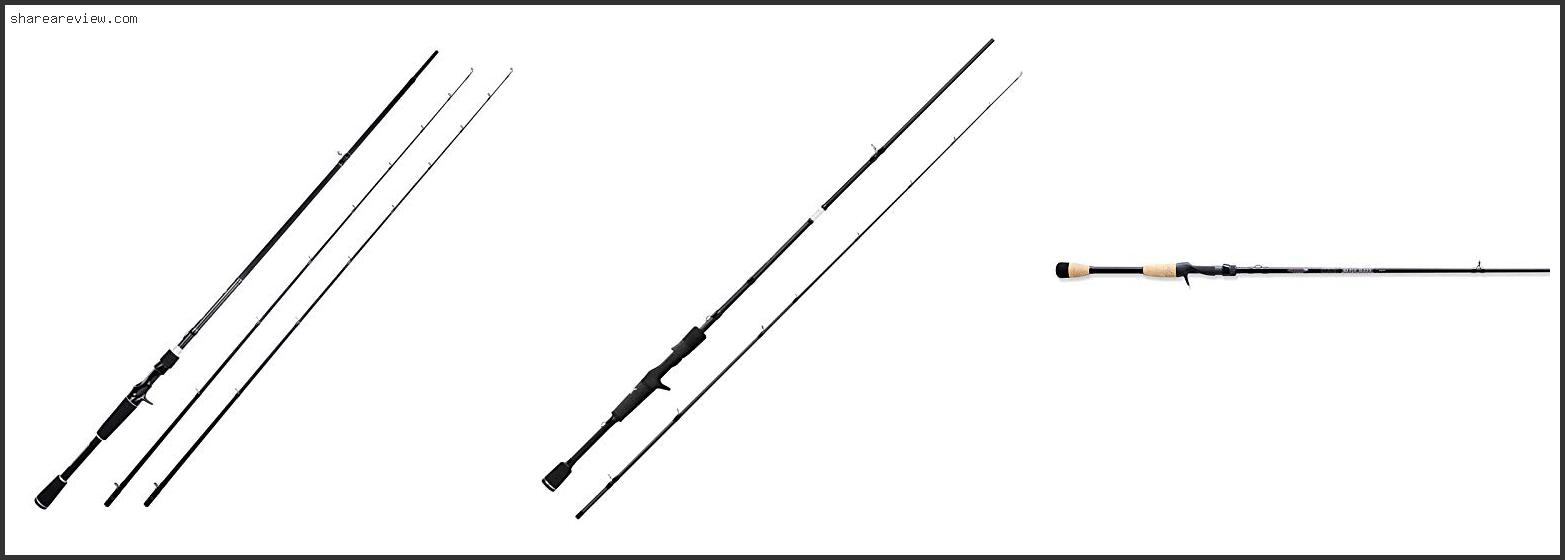 Top 10 Best 2 Piece Casting Rod Reviews & Buying Guide In 2022