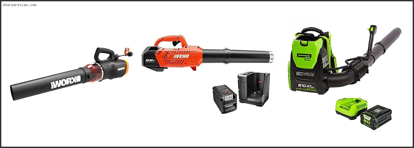 Top 10 Best Commercial Electric Leaf Blower Reviews & Buying Guide In 2022