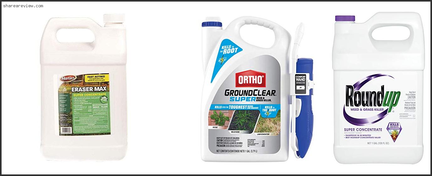 Top 10 Best Weed Killer For Fence Line Reviews & Buying Guide In 2022