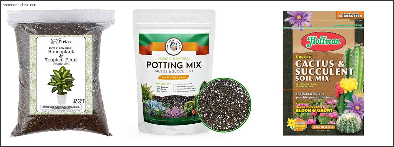 Top 10 Best Potting Soil For Pineapple Plant Reviews & Buying Guide In 2022