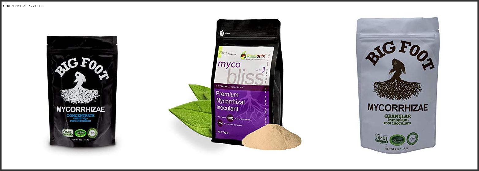 Top 10 Best Mycorrhizae For Lawns Reviews & Buying Guide In 2022