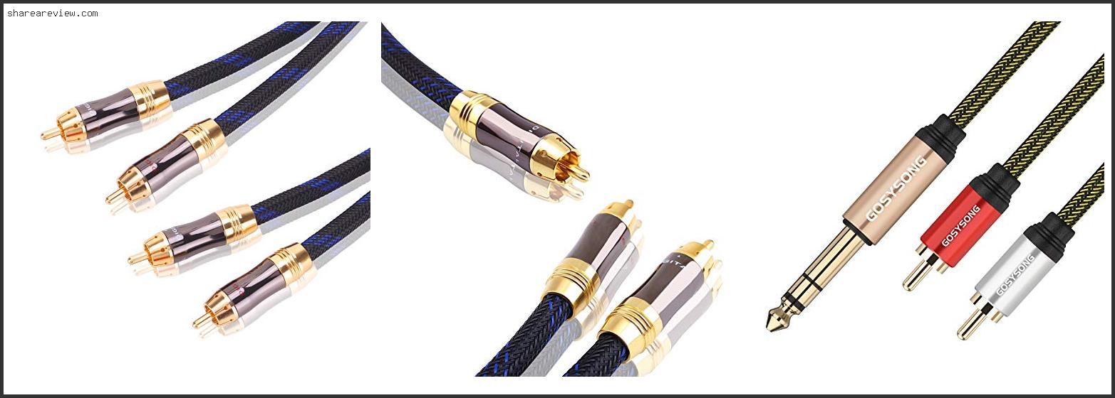 Top 10 Best Rca To 1 4 Cable Reviews & Buying Guide In 2022