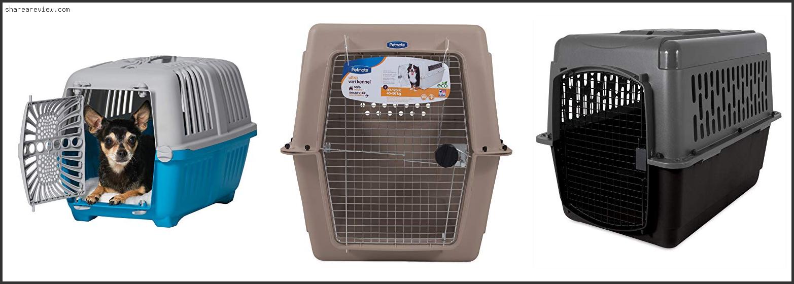 Top 10 Best Hard Sided Dog Kennel Reviews & Buying Guide In 2022
