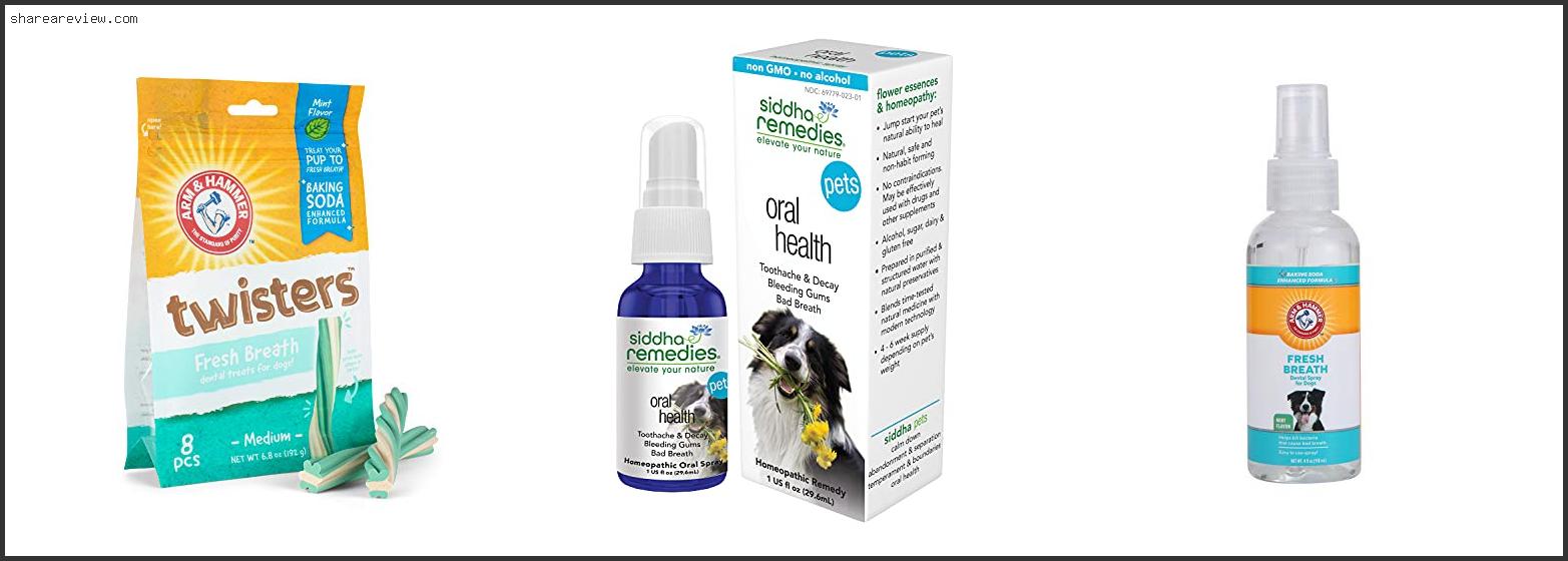Top 10 Best Remedy For Dog Bad Breath Reviews & Buying Guide In 2022