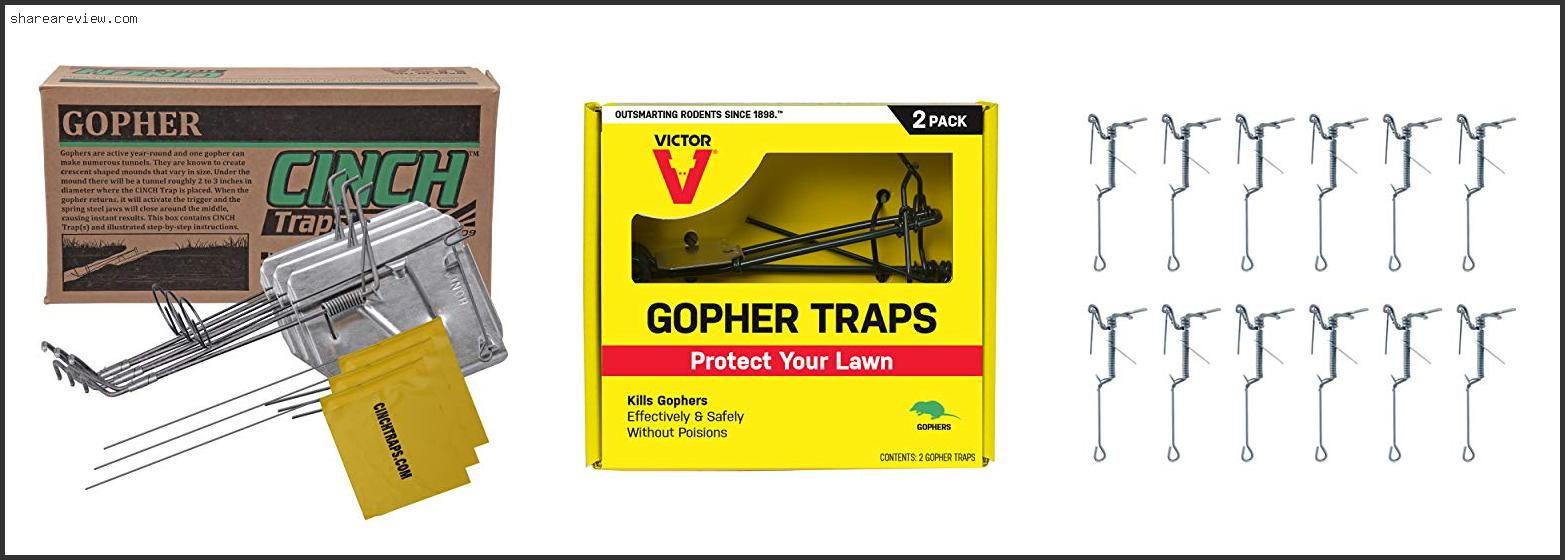 Top 10 Best Gopher Traps Reviews & Buying Guide In 2022