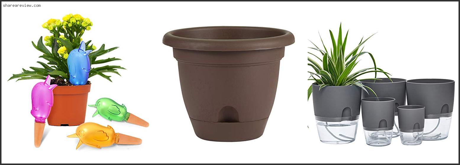 Top 10 Best Plants For Self Watering Pots Reviews & Buying Guide In 2022