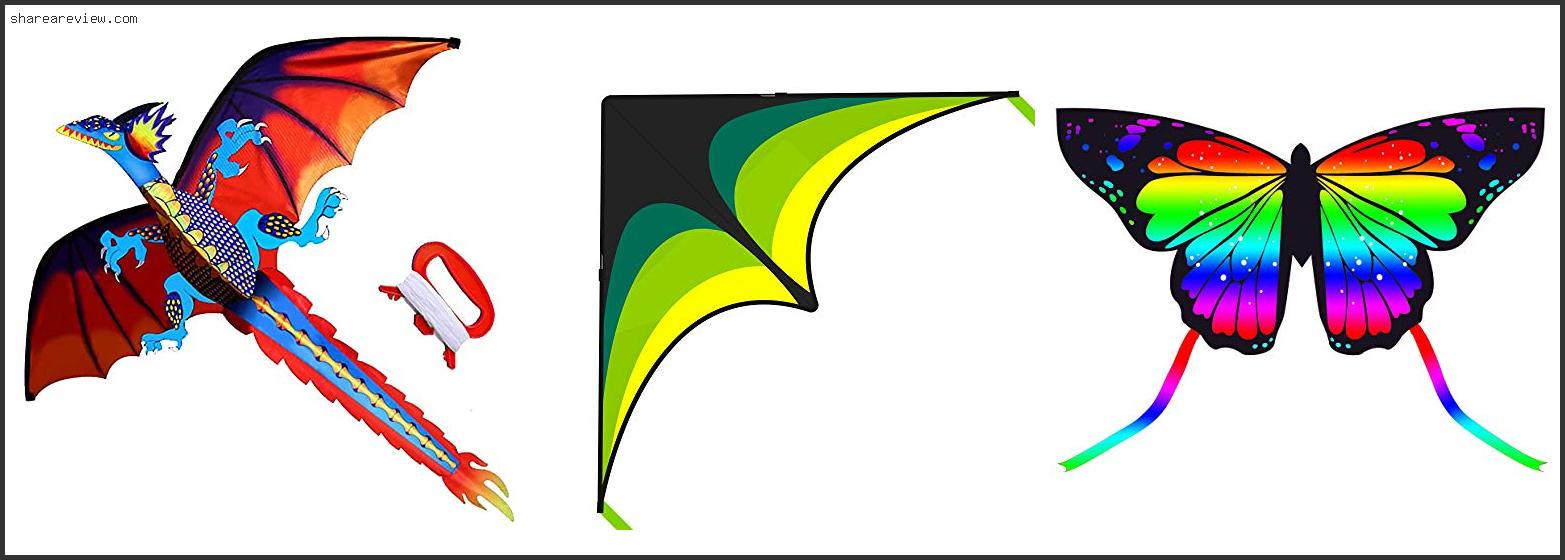 Top 10 Best Kites For Adults Reviews & Buying Guide In 2022