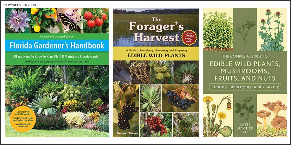 Top 10 Best Herbs To Grow In Florida Reviews & Buying Guide In 2022