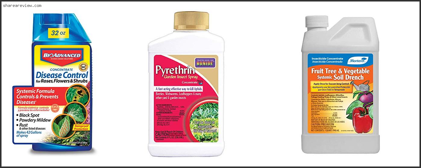 Top 10 Best Insecticide For Dahlias Reviews & Buying Guide In 2022