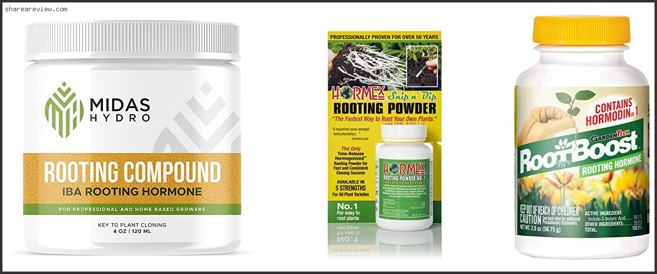 Top 10 Best Rooting Powder For Cactus Reviews & Buying Guide In 2022