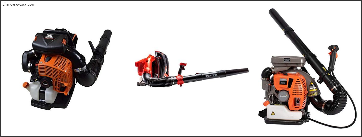 Top 10 Best Commercial Leaf Blower Backpack Reviews & Buying Guide In 2022