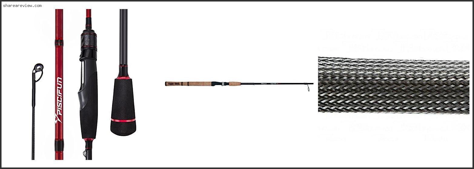 Top 10 Best Two Piece Spinning Rod Reviews & Buying Guide In 2022