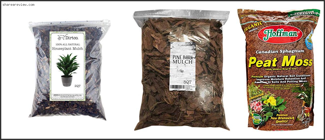 Top 10 Best Mulch For Yew Hedge Reviews & Buying Guide In 2022