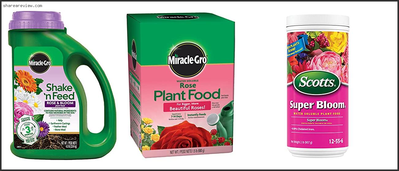 Top 10 Best Plant Food For Clematis Reviews & Buying Guide In 2022