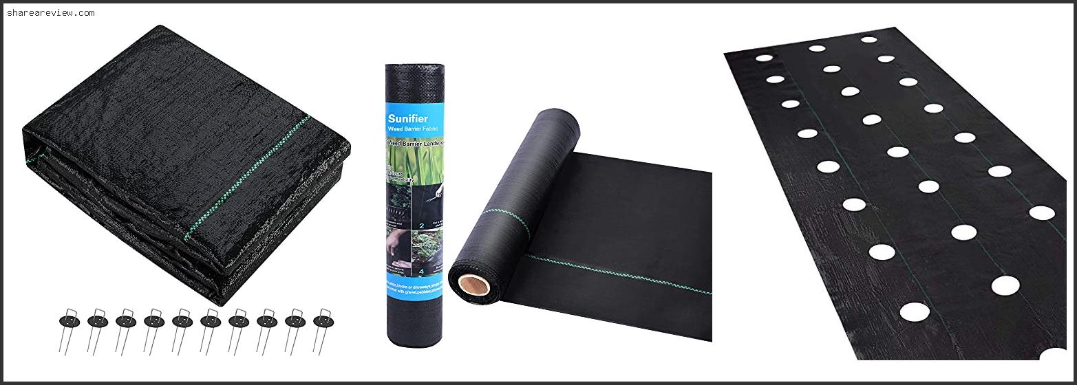 Top 10 Best Weed Barrier For Playground Reviews & Buying Guide In 2022