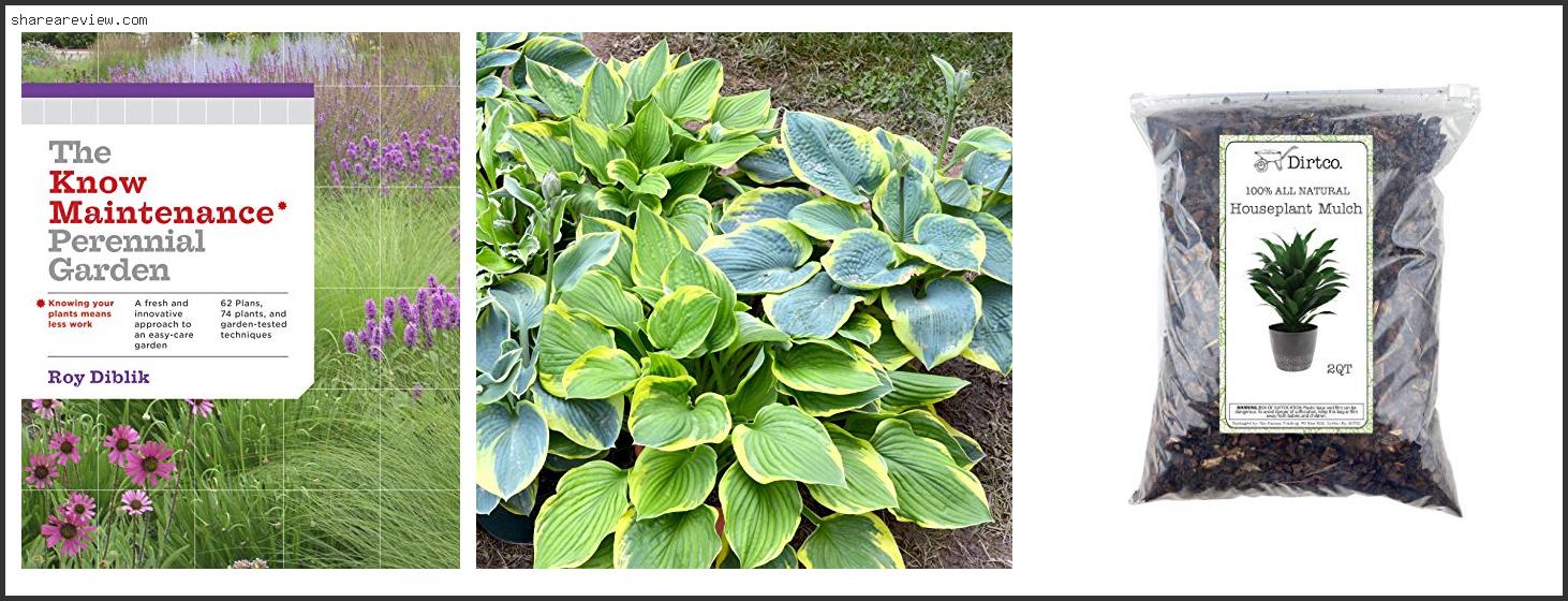 Top 10 Best Mulch Around Hostas Reviews & Buying Guide In 2022