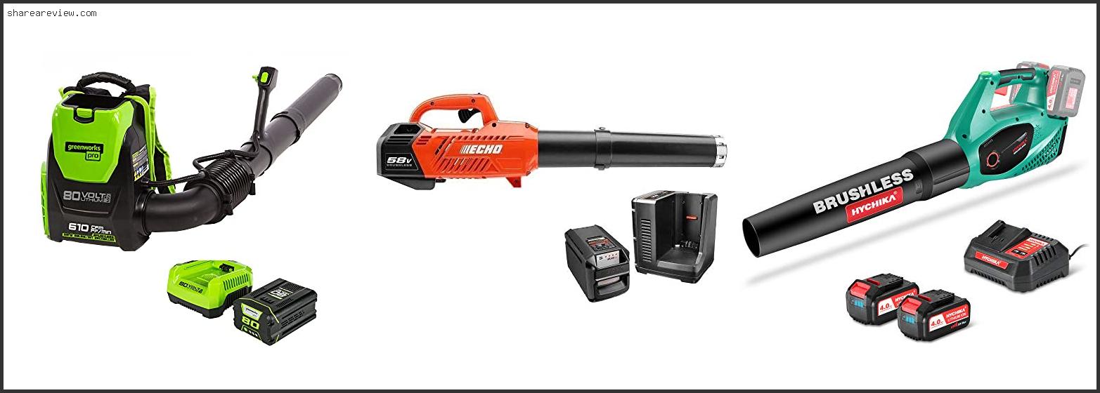 Top 10 Best Commercial Handheld Leaf Blower Reviews & Buying Guide In 2022