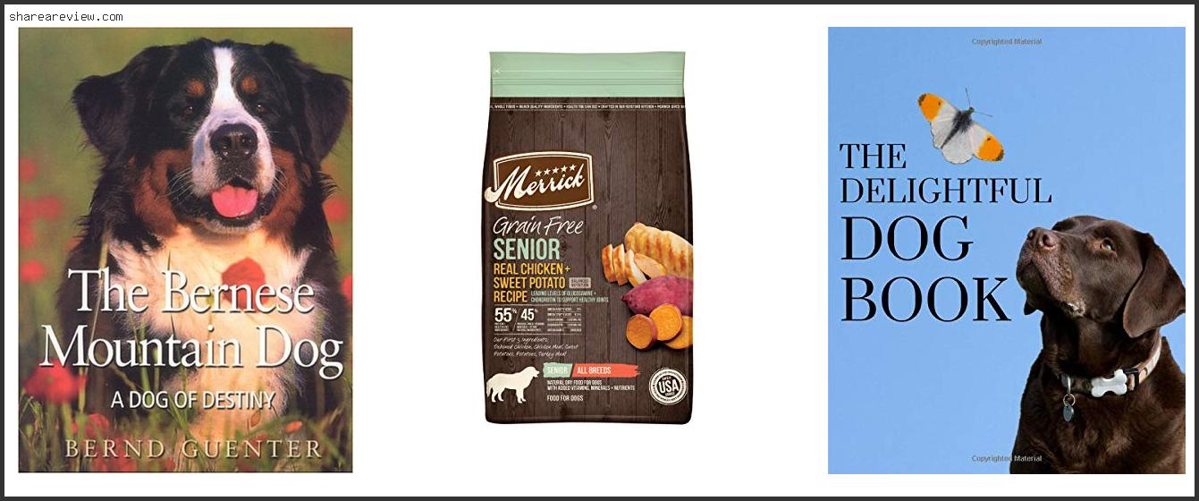 Top 10 Best Dog Breeds For Senior Citizens Reviews & Buying Guide In 2022