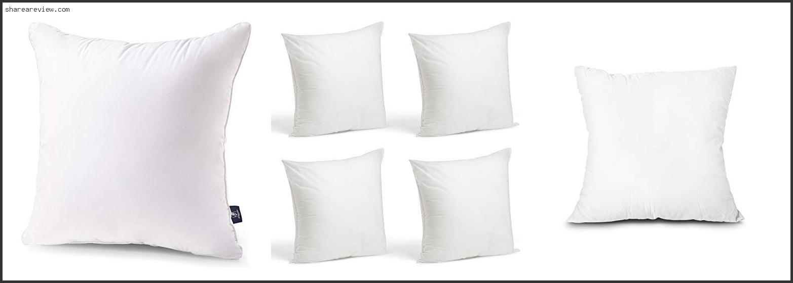 Top 10 Best Pillow Inserts For Throw Pillows Reviews & Buying Guide In