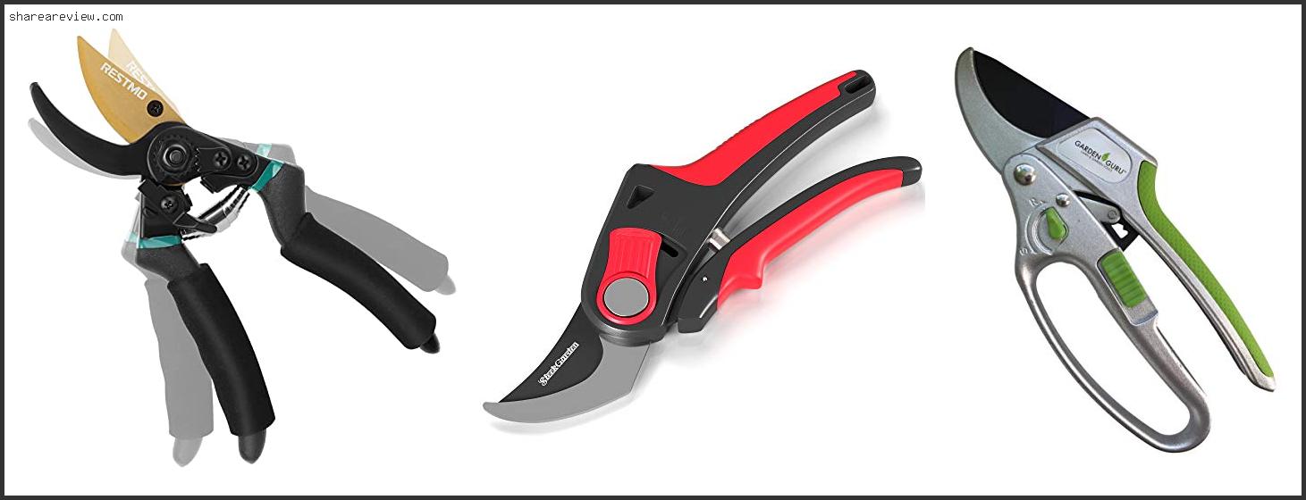 Top 10 Best Pruners For Arthritic Hands Reviews & Buying Guide In 2022