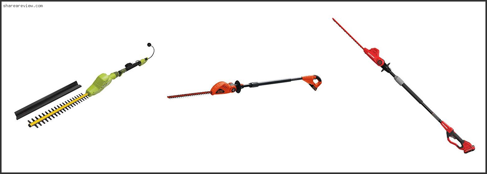 Top 10 Best Long Reach Petrol Hedge Trimmer Reviews & Buying Guide In 2022