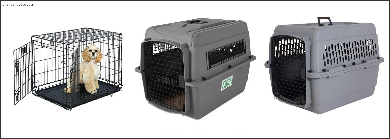 Top 10 Best Hard Sided Dog Crate Reviews & Buying Guide In 2022