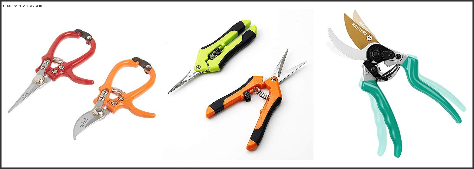 Top 10 Best Pruners For Arthritis Reviews & Buying Guide In 2022