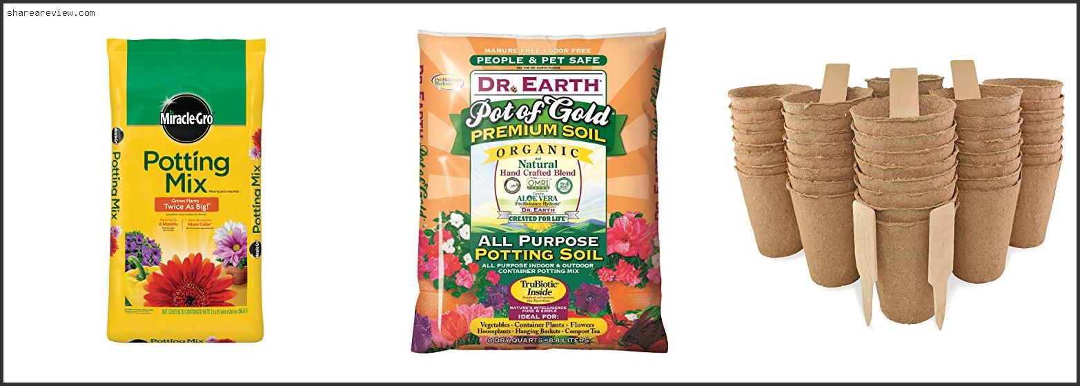 Top 10 Best Potting Mix For City Pickers Reviews & Buying Guide In 2022