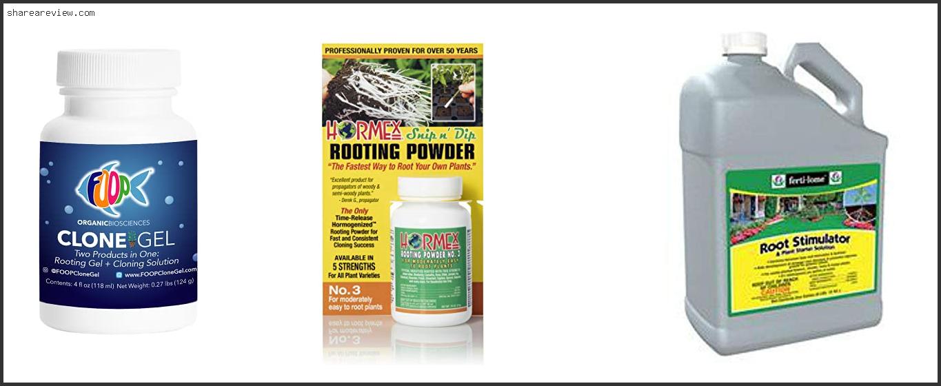 Top 10 Best Rooting Hormone For Arborvitae Reviews & Buying Guide In ...