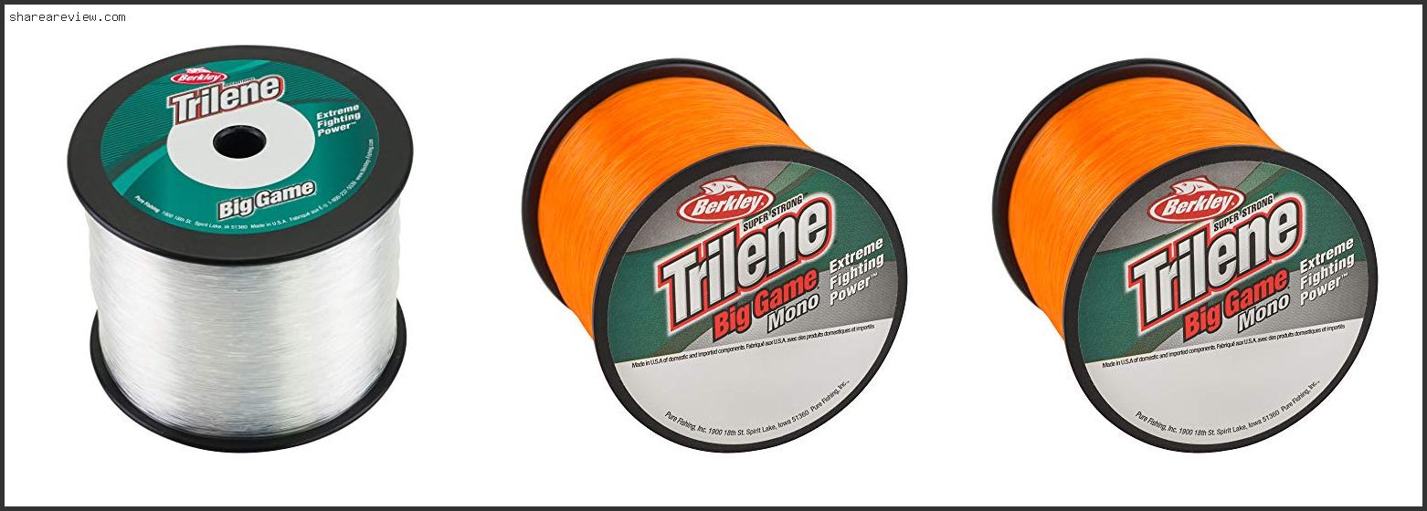 Top 10 Best Big Game Fishing Line Reviews & Buying Guide In 2022