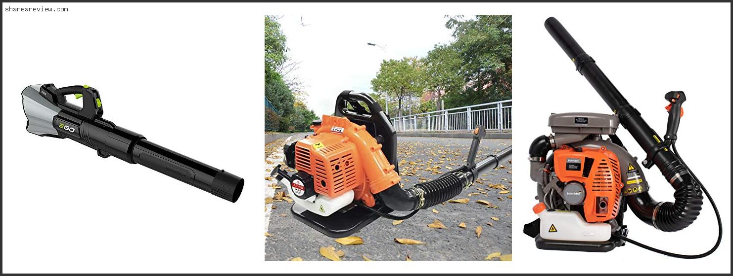 Top 10 Best Commercial Backpack Leaf Blower Reviews & Buying Guide In 2022