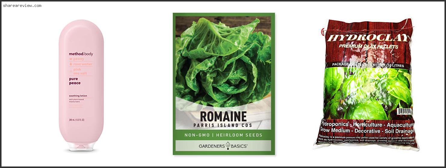 Top 10 Best Lettuce For Kratky Method Reviews & Buying Guide In 2022