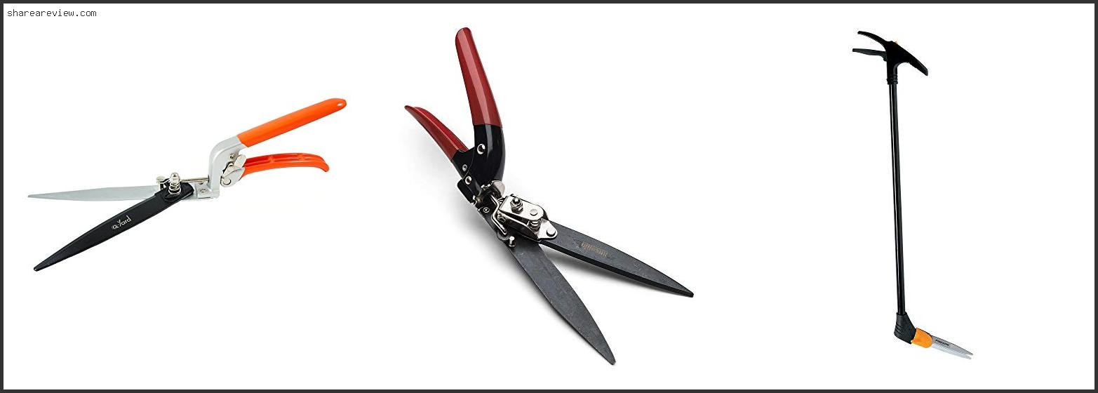 Top 10 Best Garden Shears For Cutting Grass Reviews & Buying Guide In 2022