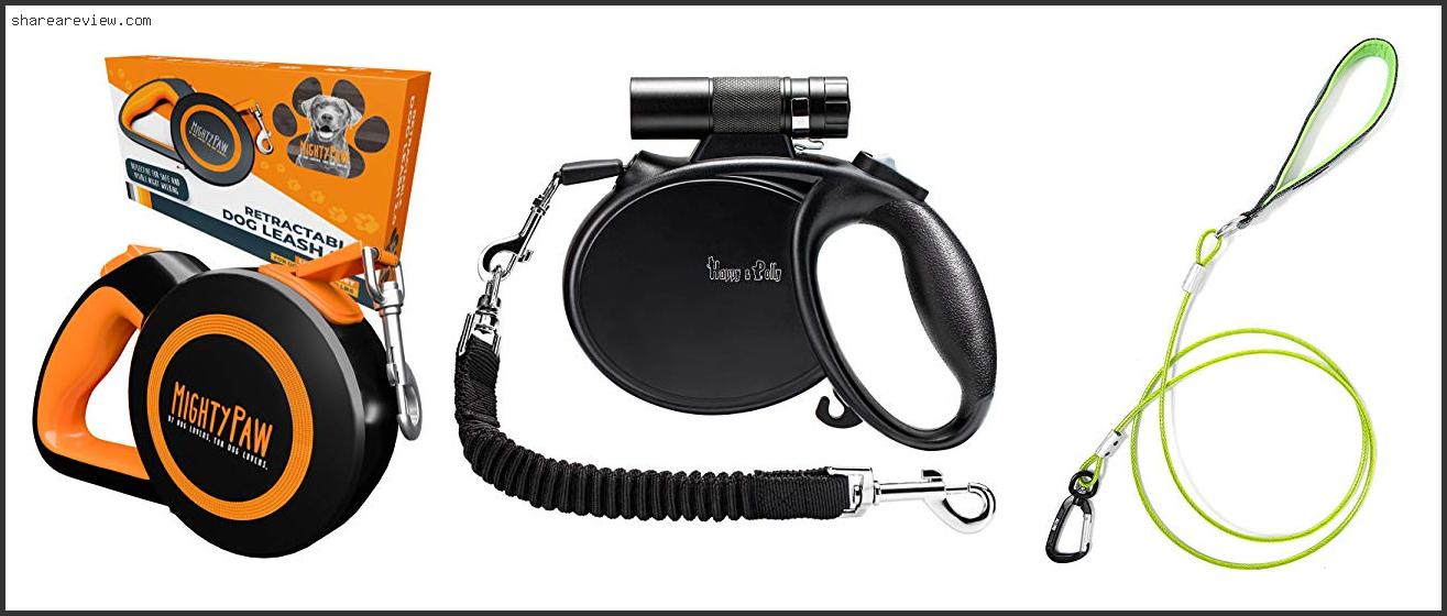 Top 10 Best Retractable Dog Leash For Chewers Reviews & Buying Guide In 2022