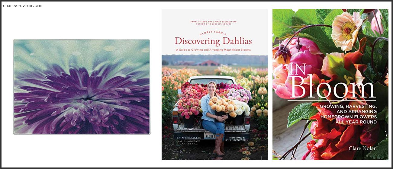 Top 10 Best Dahlias For Cutting Reviews & Buying Guide In 2022