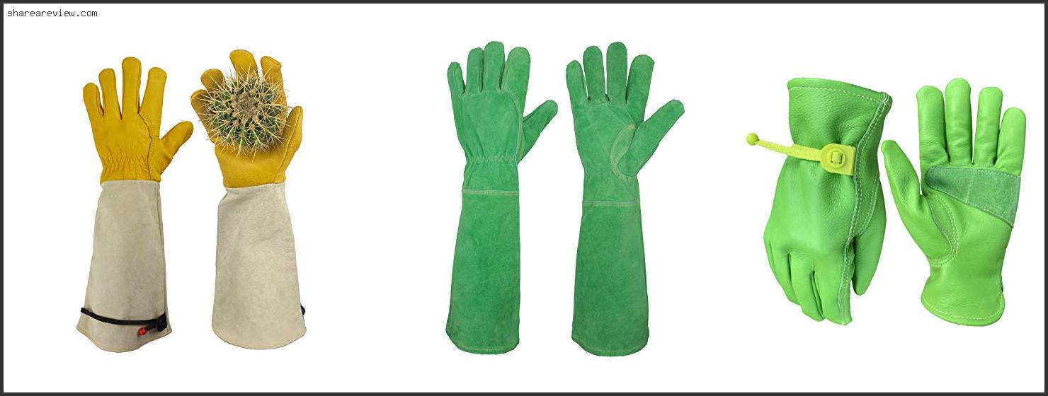 Top 10 Best Gloves For Handling Cactus Reviews & Buying Guide In 2022