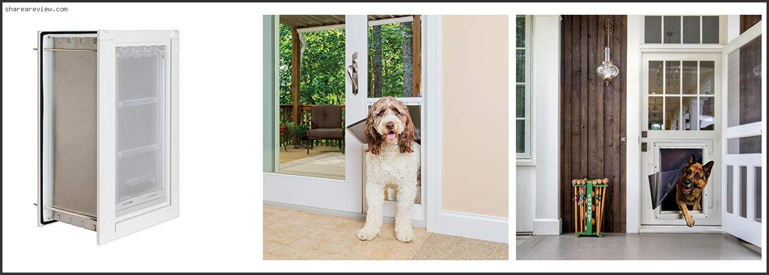 Top 10 Best Pet Doors For Cold Weather Reviews & Buying Guide In 2022