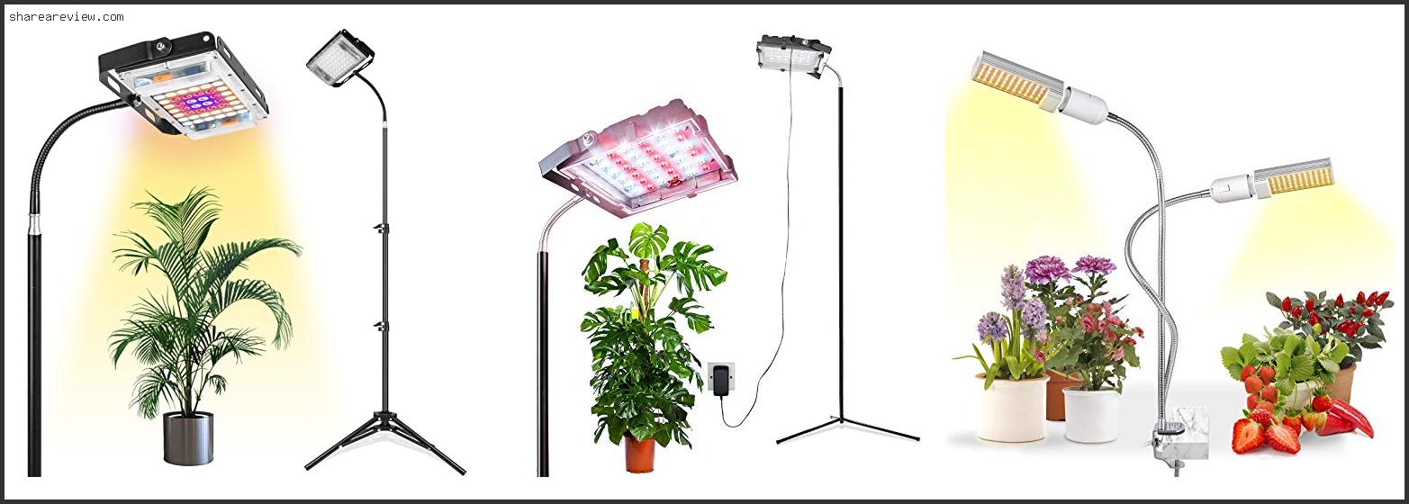 Top 10 Best Grow Light For Lemon Tree Reviews & Buying Guide In 2022