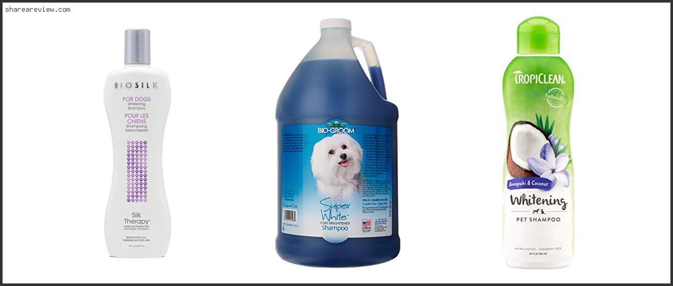 Top 10 Best Whitening Shampoo For Dogs Reviews & Buying Guide In 2022