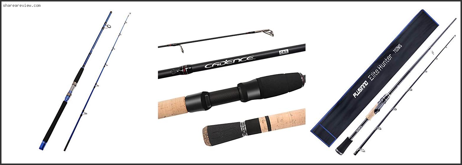 Top 10 Best 2 Piece Spinning Rod Reviews & Buying Guide In 2022
