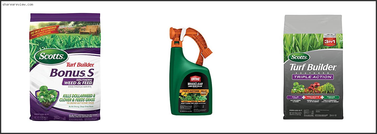 Top 10 Best Weed Killer For Floratam Grass Reviews & Buying Guide In 2022