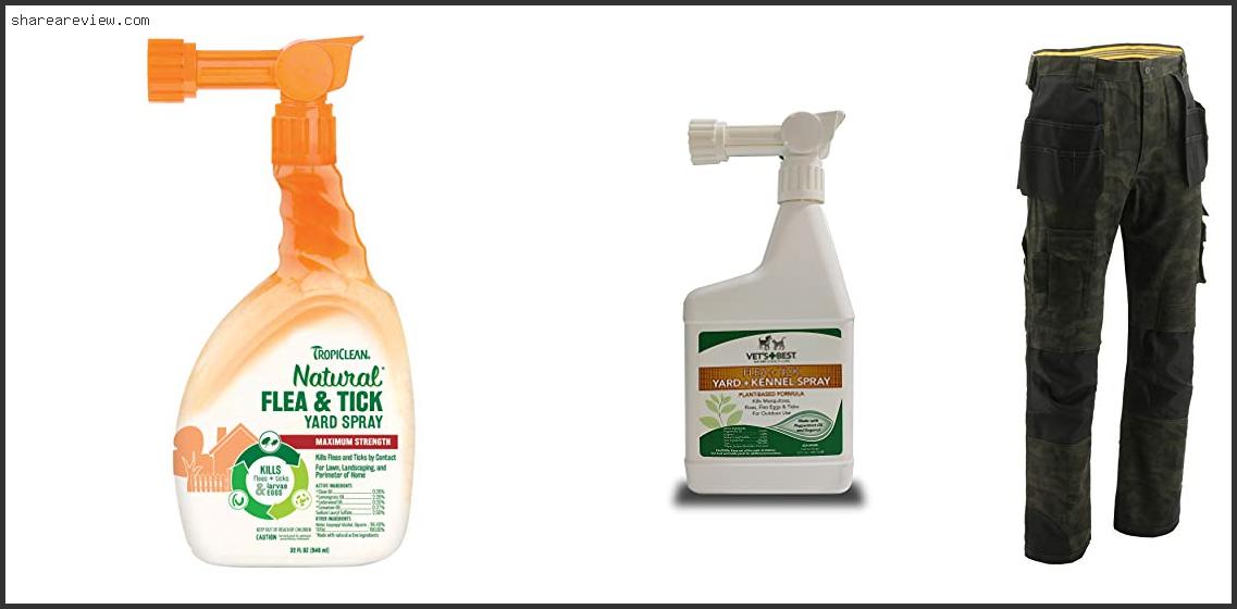Top 10 Best Thing To Kill Fleas In Yard Reviews & Buying Guide In 2022