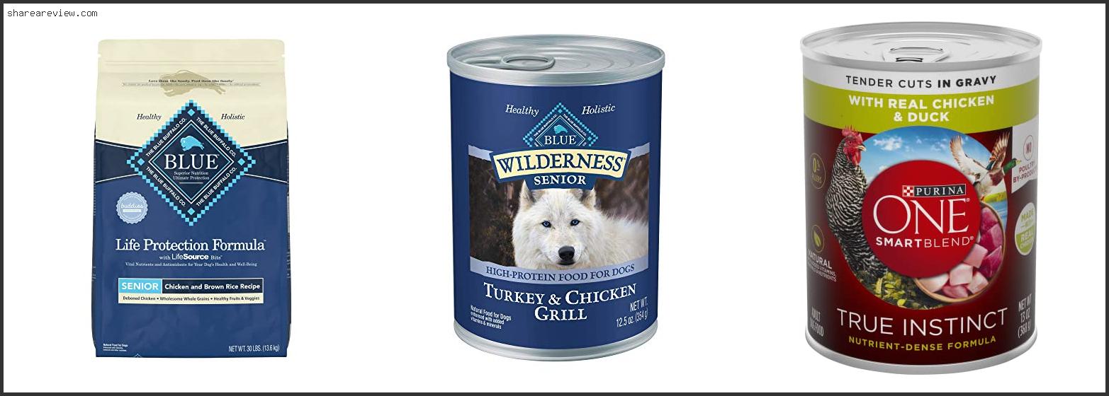 Top 10 Best Canned Dog Food For Elderly Dogs Reviews & Buying Guide In 2022