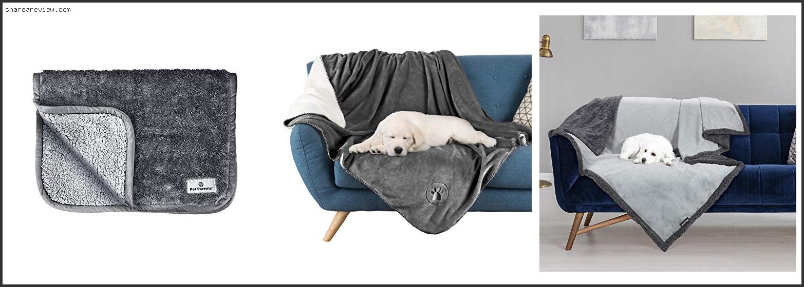 Top 10 Best Dog Blanket For Couch Reviews & Buying Guide In 2022