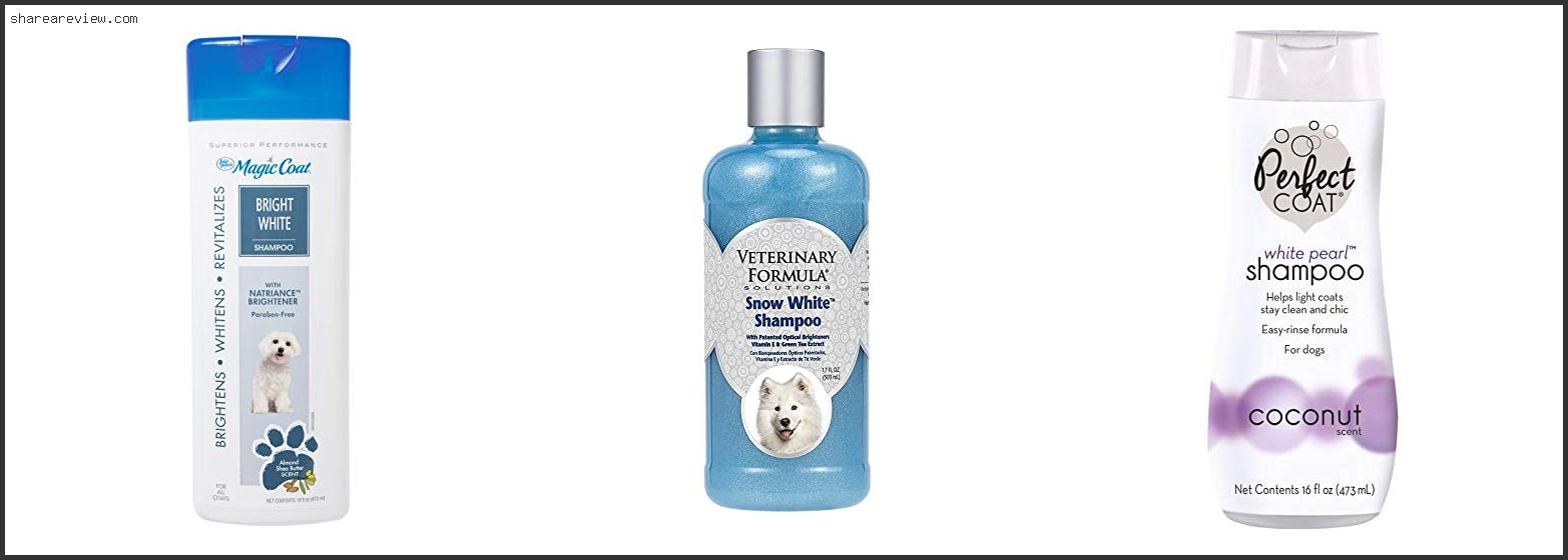 Top 10 Best Dog Shampoo For White Coats Reviews & Buying Guide In 2022