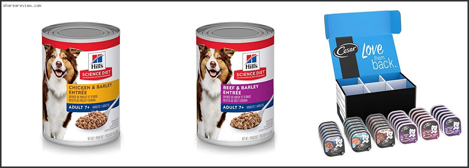 Top 10 Best Senior Wet Dog Food Reviews & Buying Guide In 2022